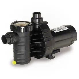 Speck Pumps Model A91 Two Speed Pump AG216-2100T-0ST - 1 HP