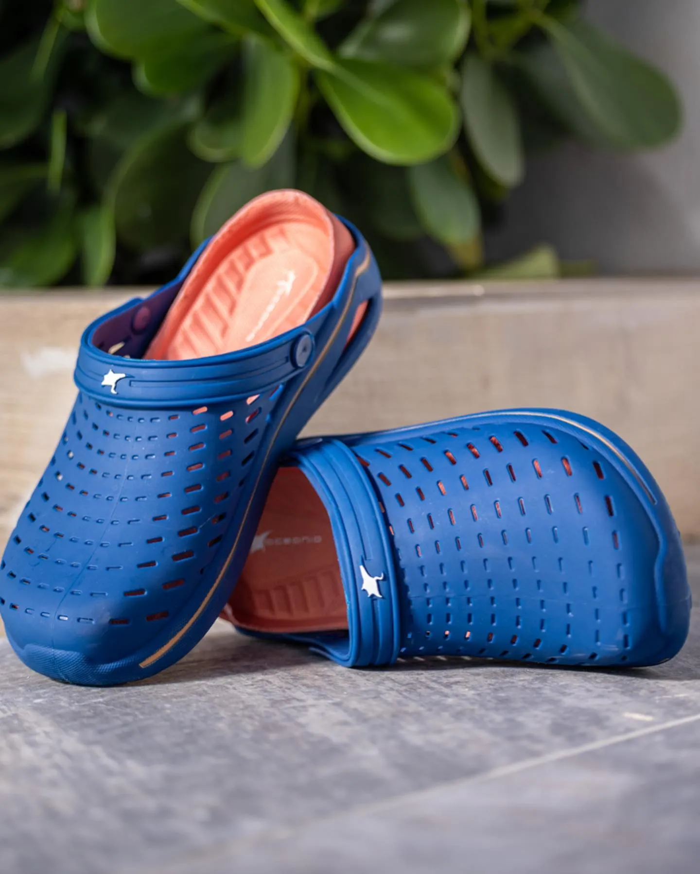 Wakeboard Royal Papaya